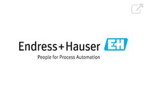 Logo EndressHauser